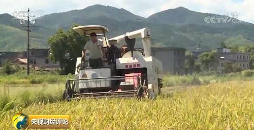 时隔23年，中国再次发表粮食白皮书！释放哪些新信号？